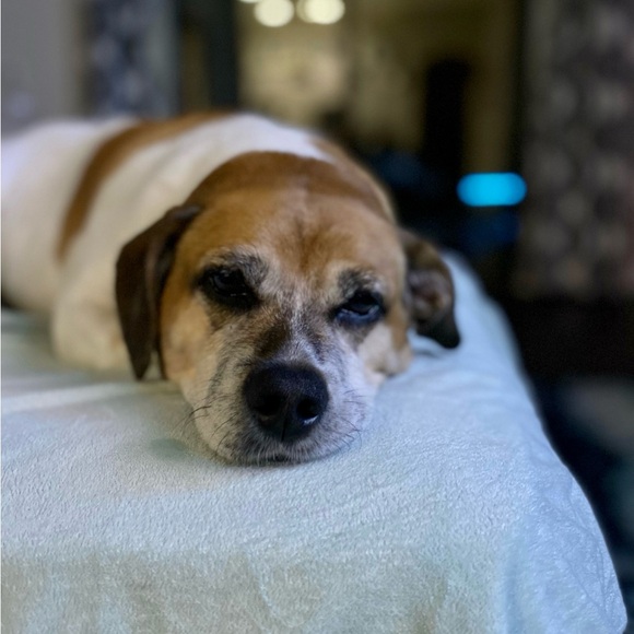 Meet your Posher, Susan - Picture 5 of 5